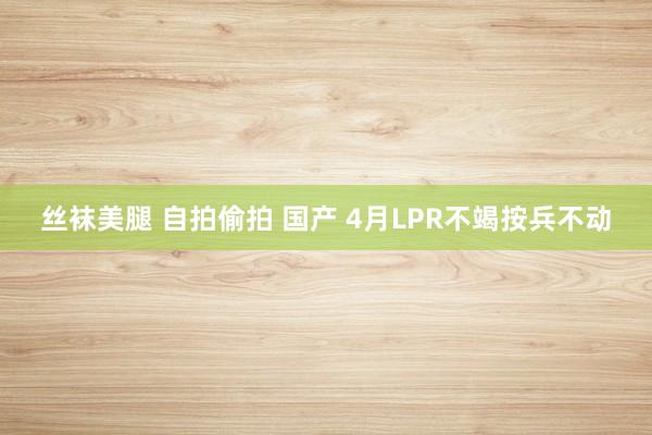 丝袜美腿 自拍偷拍 国产 4月LPR不竭按兵不动