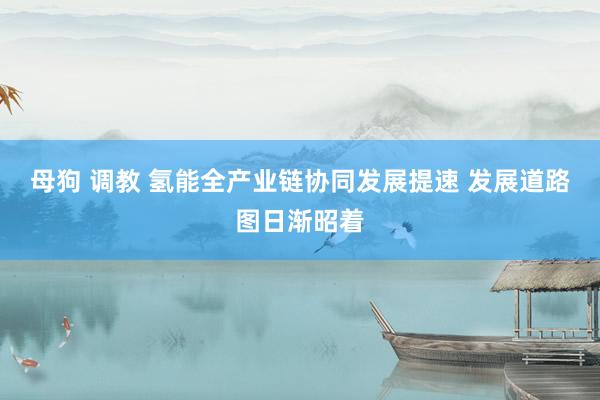母狗 调教 氢能全产业链协同发展提速 发展道路图日渐昭着