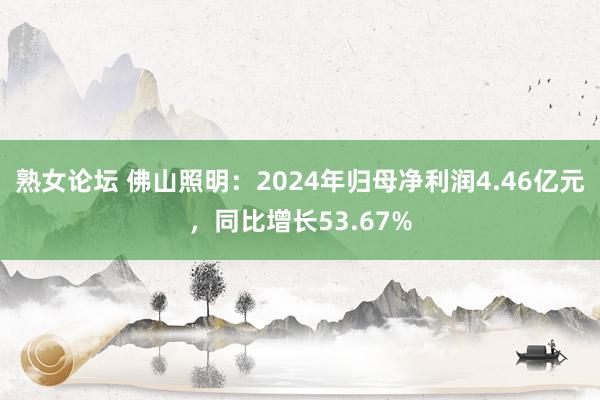熟女论坛 佛山照明：2024年归母净利润4.46亿元，同比增长53.67%