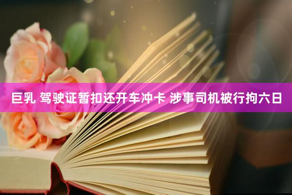 巨乳 驾驶证暂扣还开车冲卡 涉事司机被行拘六日