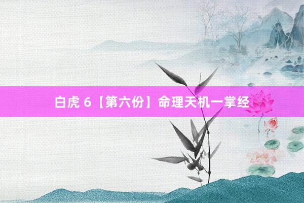 白虎 6【第六份】命理天机一掌经
