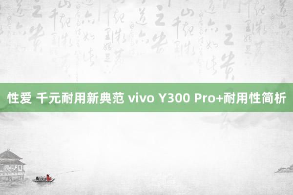 性爱 千元耐用新典范 vivo Y300 Pro+耐用性简析