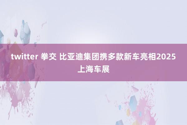 twitter 拳交 比亚迪集团携多款新车亮相2025上海车展