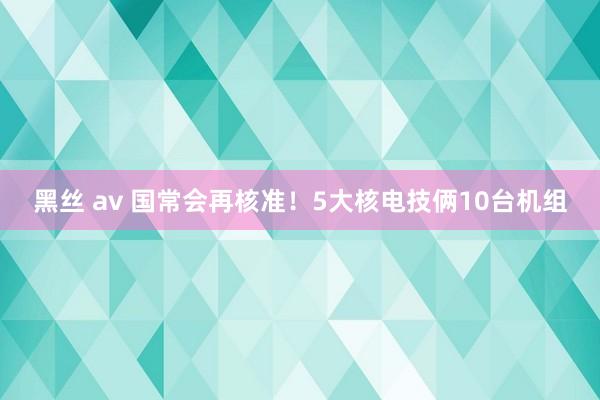 黑丝 av 国常会再核准！5大核电技俩10台机组