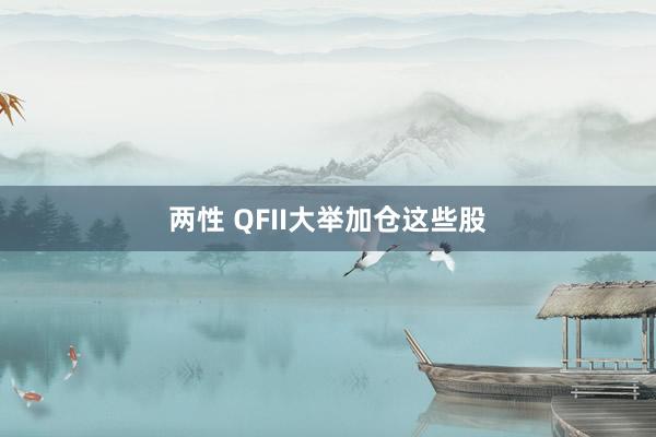 两性 QFII大举加仓这些股
