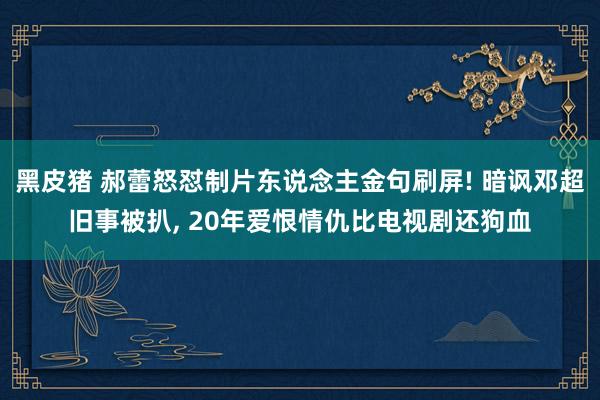 黑皮猪 郝蕾怒怼制片东说念主金句刷屏! 暗讽邓超旧事被扒， 20年爱恨情仇比电视剧还狗血